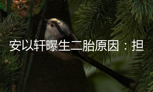 儿子陪安以轩曝胎原没人担心因生二将来